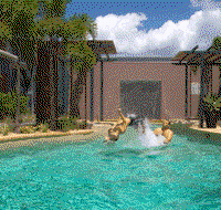 Southern Cross Atrium Apartments - Maitland Accommodation