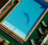 Pacific International Hotel - Maitland Accommodation