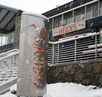 Heidi's Chalet Apartments - Maitland Accommodation