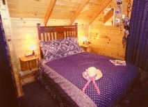 Carinya Farm Holiday Retreat - Maitland Accommodation 1