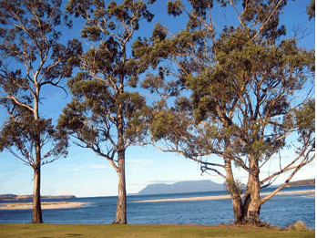 Island View Motel - Maitland Accommodation 3