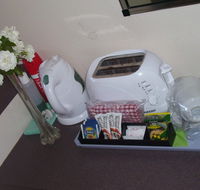 Twin City Motor Inn - Maitland Accommodation