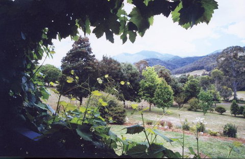 Springfield Cottage Bed & Breakfast - Maitland Accommodation 1