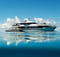 Bundaberg to Lady Musgrave Island Day Cruise - Maitland Accommodation