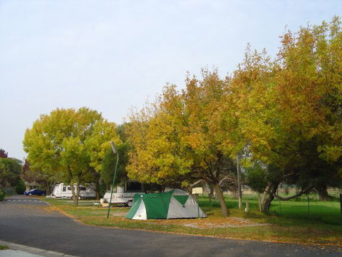 BIG4 Dandenong Tourist Park - Maitland Accommodation 2