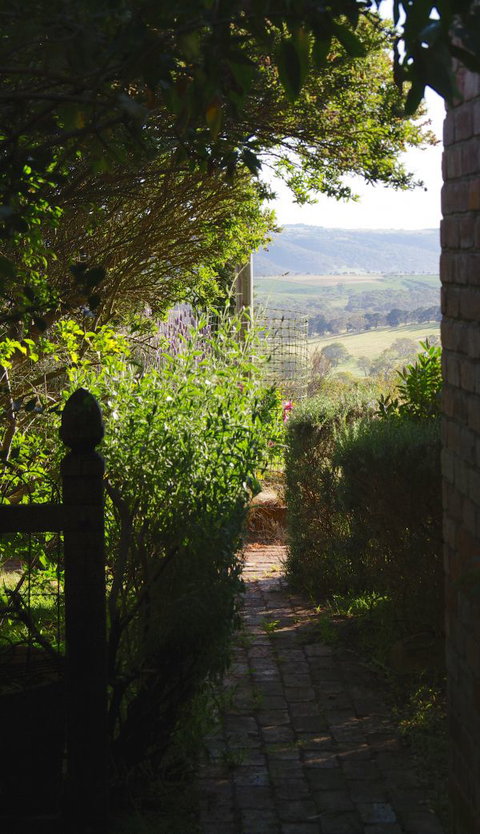 Pear Tree Hollow - Maitland Accommodation 7