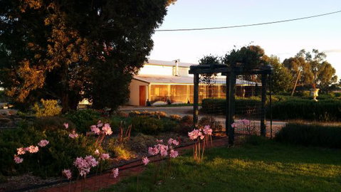 Angas Plains Wines Suites - Maitland Accommodation 2