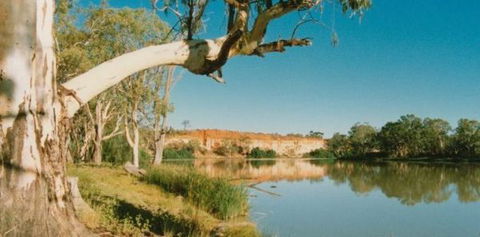 Border Cliffs River Retreat - Maitland Accommodation 0