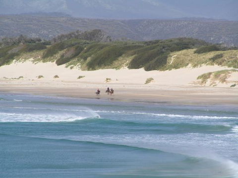 Arties Cottage Accommodation - Maitland Accommodation 5