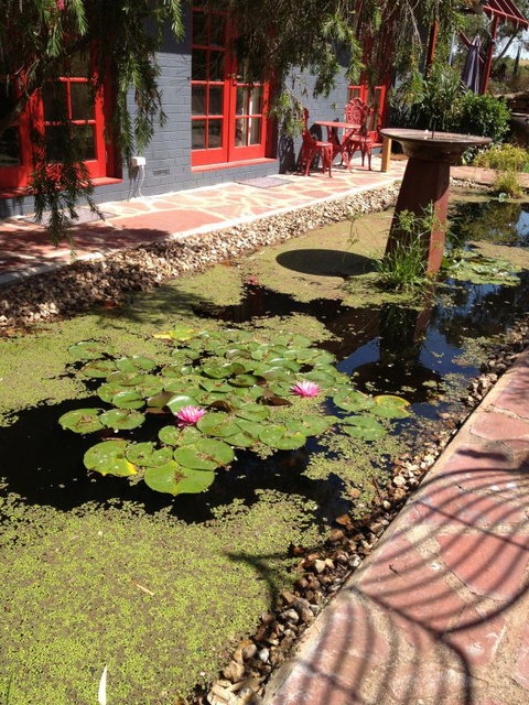 Artrocks Artist Retreat & Accommodation - Maitland Accommodation 0