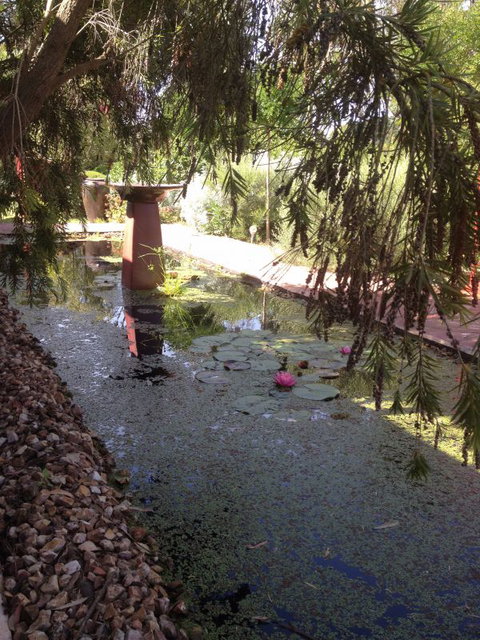 Artrocks Artist Retreat & Accommodation - Maitland Accommodation 1