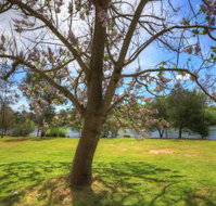 Breakaway Twin Rivers Caravan Park - Maitland Accommodation