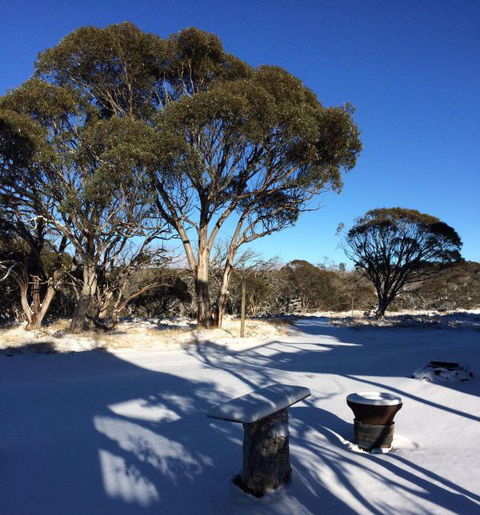 Cloud 9 Alpine Lodge - Maitland Accommodation 9