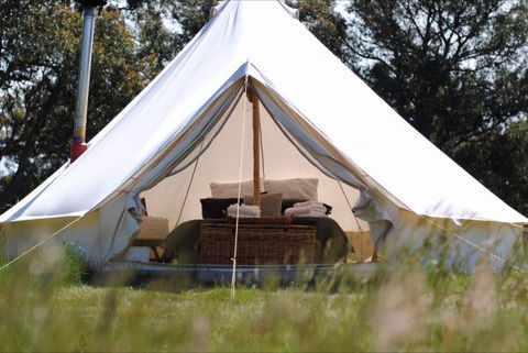 Cosy Tents - Maitland Accommodation 4