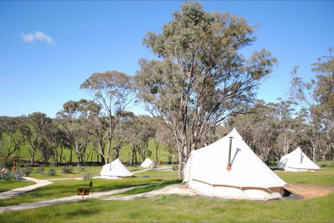 Cosy Tents - Maitland Accommodation 5