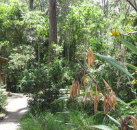 Dunns Creek Downs Nature Stay - Maitland Accommodation