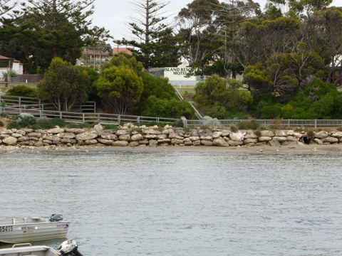 Island Motel Kingscote - Maitland Accommodation 2