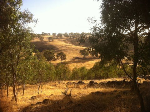 Jonathan Art Centre - Jarramarrumba House - Maitland Accommodation 6