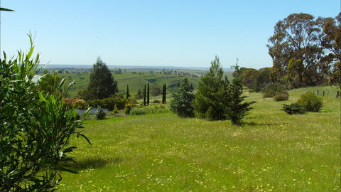 Jonathan Art Centre - Jarramarrumba House - Maitland Accommodation 0
