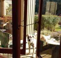 Mara Ponds Branxholm - Maitland Accommodation