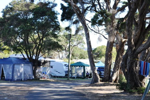 Queenscliff Tourist Park - Maitland Accommodation 2