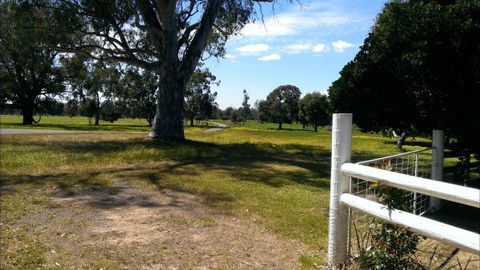Rotherlea Lodge Farmstay BnB - Maitland Accommodation 3