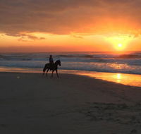 Tassiriki Holiday Cabins - Maitland Accommodation