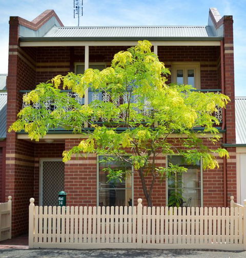 Turner Terrace - Maitland Accommodation 0