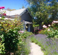 Valley View Cottage - Maitland Accommodation