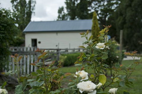 Wood Duck Cottages - Maitland Accommodation 5