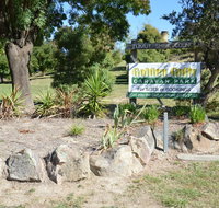 Adelong Golden Gully Caravan Park - Maitland Accommodation