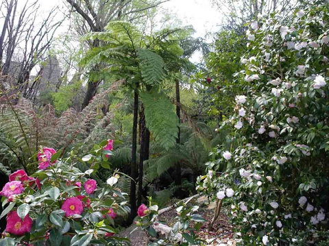 Adelaide Hills B&B Accommodation - Maitland Accommodation 3