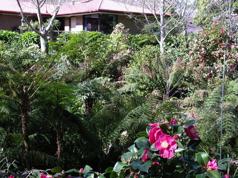 Adelaide Hills B&B Accommodation - Maitland Accommodation 6