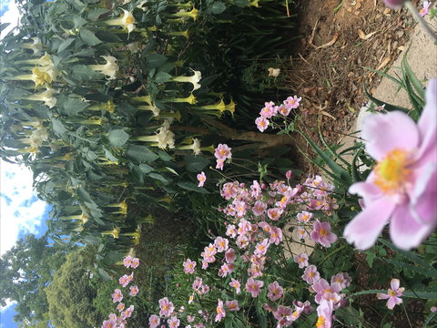 Adelaide Hills B&B Accommodation - Maitland Accommodation 7