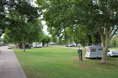 Austin Tourist Park - Maitland Accommodation 3