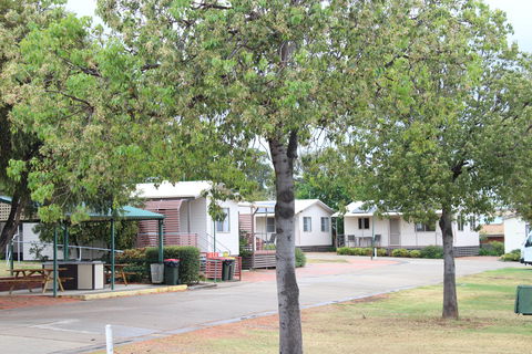 Austin Tourist Park - Maitland Accommodation 9