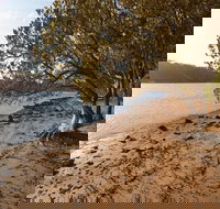 Beach campground - Maitland Accommodation