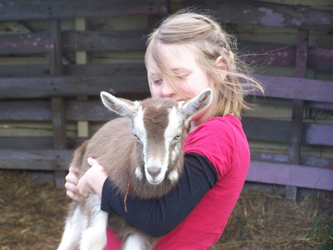 Eden Orchard And Farmstay - Maitland Accommodation 3