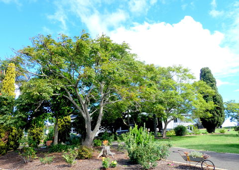 Forest Lodge Highfields - Maitland Accommodation 3