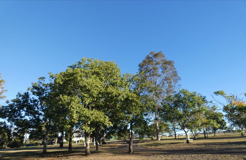 Forest Lodge Highfields - Maitland Accommodation 6