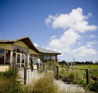 Great Ocean Ecolodge - Maitland Accommodation