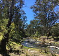 Highfield Farm and Woodland Bush Campsites - Maitland Accommodation