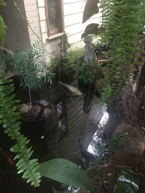 HJapartments - Maitland Accommodation 4