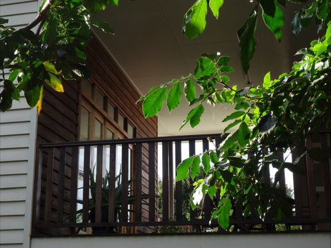 Le Piaf On Treasure Bed And Breakfast - Maitland Accommodation 6