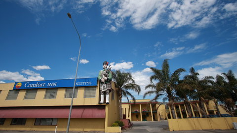 Comfort Inn Scottys Motel - Maitland Accommodation 0