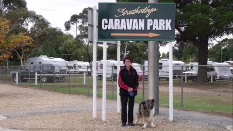 Strathalbyn Caravan Park - Maitland Accommodation 0