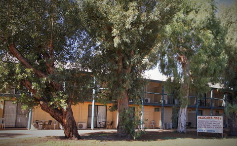 Pelican's Nest - Maitland Accommodation 0
