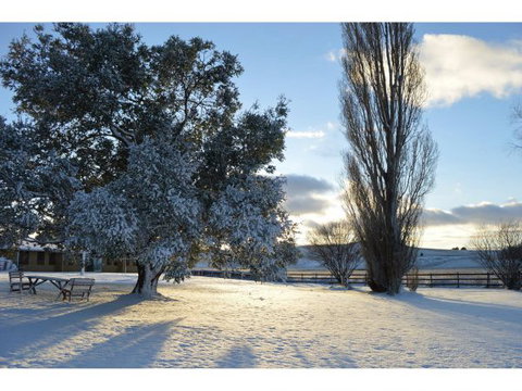 Snowy Mountains Resort - Maitland Accommodation 0