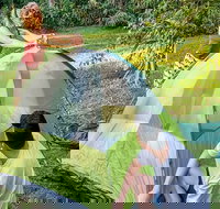 Warrabah campground and picnic area - Maitland Accommodation