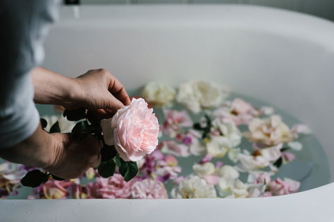Acre Of Roses - Maitland Accommodation 5